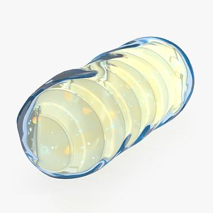 Mitochondrial Cell 3D model