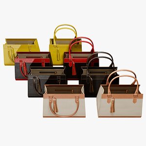 Women Bag Colors 3D