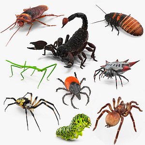 Rigged Creeping Insects Collection 3 for Cinema 4D 3D model