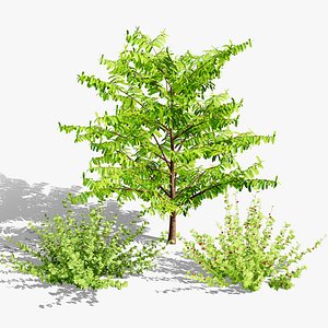 Realistic Flander Gooseberry Bush