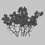 3d gorse flower