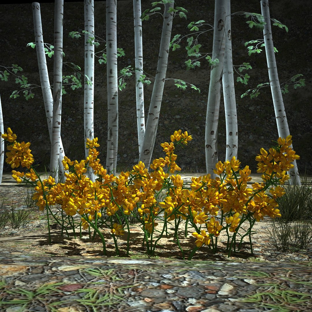 3d gorse flower https://p.turbosquid.com/ts-thumb/NO/hZUorN/kITznEoE/2/jpg/1363526653/1920x1080/fit_q87/1d7e7981b33f3f57f48fbcc8501be9b2a78d3535/2.jpg