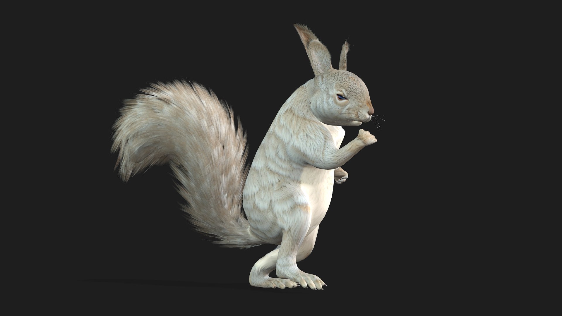 Squirrel-A2 3D https://p.turbosquid.com/ts-thumb/NO/pTbej7/VK/preview5/jpg/1759391309/1920x1080/fit_q87/818db9b56ae0f40013042bf49d3b9b09a28a6e1e/preview5.jpg