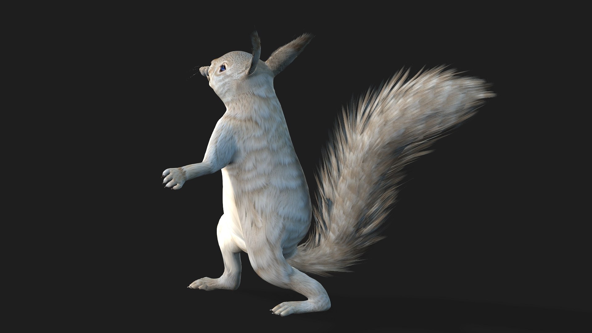 Squirrel-A2 3D https://p.turbosquid.com/ts-thumb/NO/pTbej7/Vt/preview7/jpg/1759391311/1920x1080/fit_q87/9be5d618db9de41e9f06b80fc0ebe996980b7be3/preview7.jpg