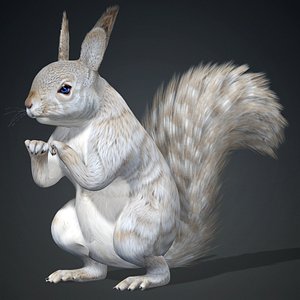 Squirrel-A2 3D