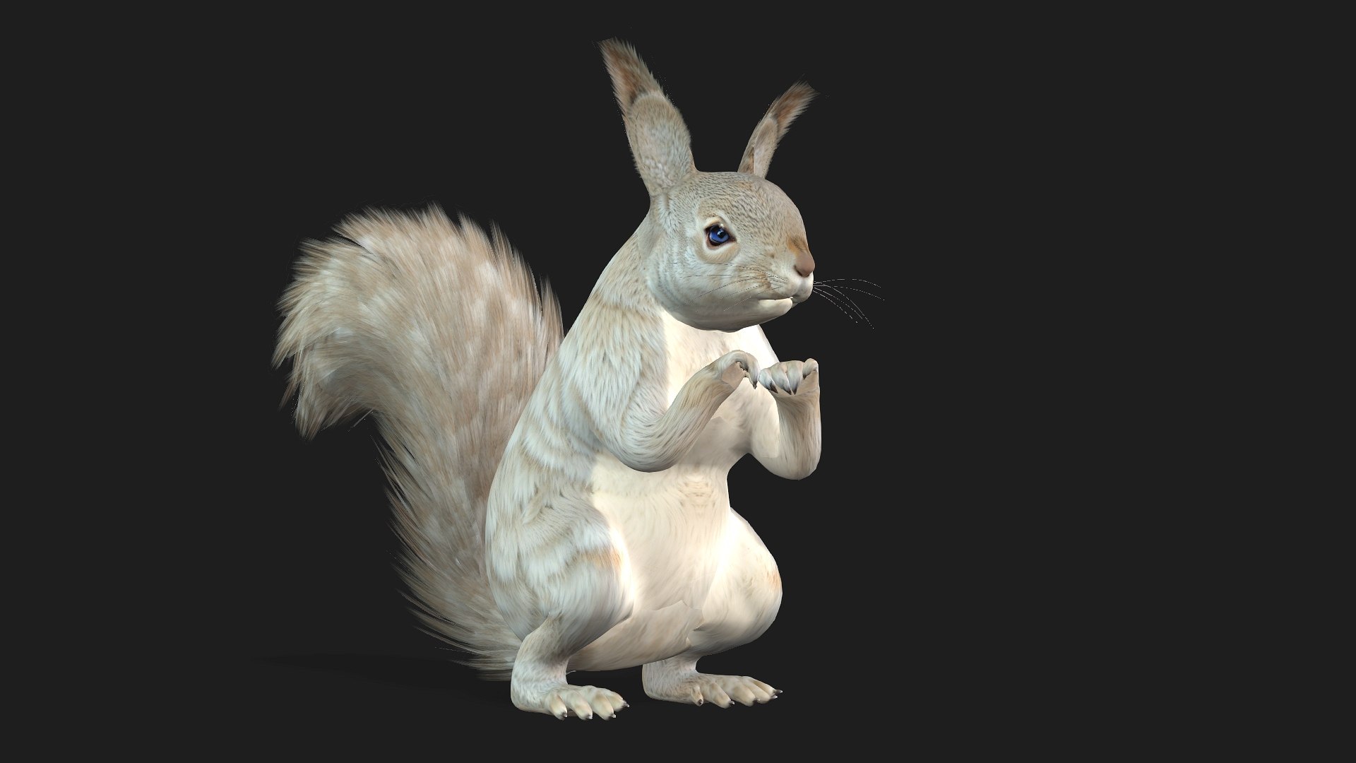 Squirrel-A2 3D https://p.turbosquid.com/ts-thumb/NO/pTbej7/iI/preview3/jpg/1759391308/1920x1080/fit_q87/0f36e9584063ae652a42fb642acaa93f502f49a5/preview3.jpg