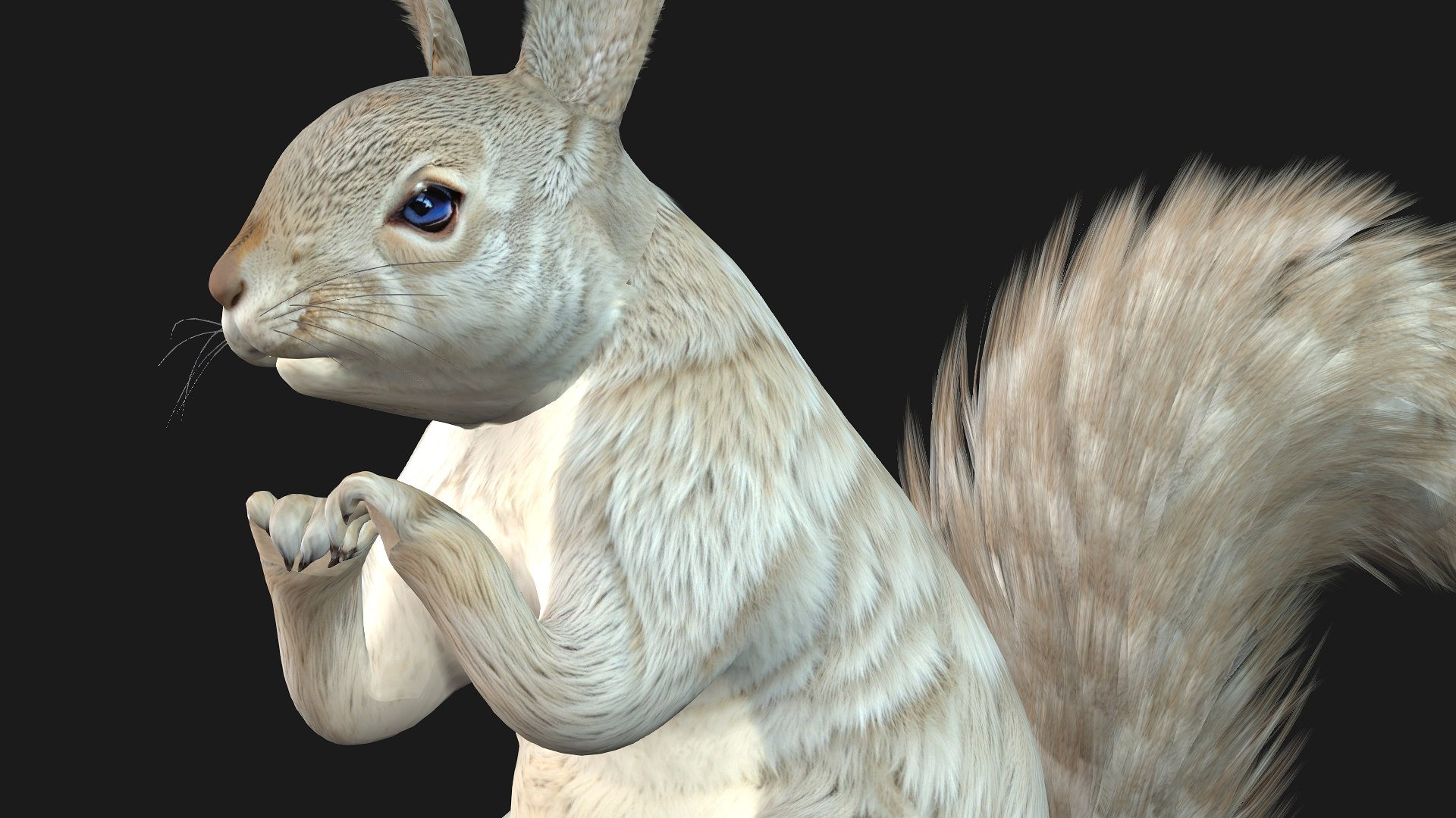 Squirrel-A2 3D https://p.turbosquid.com/ts-thumb/NO/pTbej7/k0/preview4/jpg/1759391309/1920x1080/fit_q87/f915f0ea7c1bebfdea8d2c2d2be536e3f0e34108/preview4.jpg