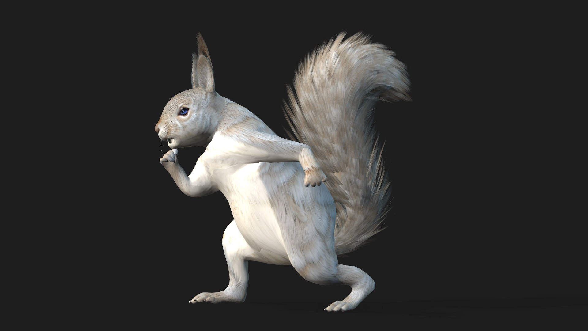 Squirrel-A2 3D https://p.turbosquid.com/ts-thumb/NO/pTbej7/qO/preview6/jpg/1759391310/1920x1080/fit_q87/703ecf45f175a5e9af6fa49cb1712dcbe6c78bfb/preview6.jpg
