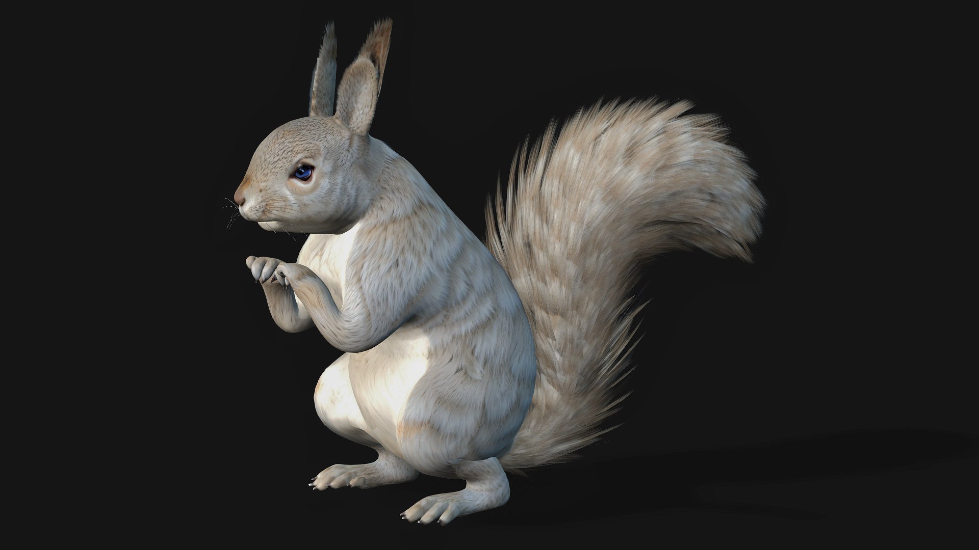 Squirrel-A2 3D https://p.turbosquid.com/ts-thumb/NO/pTbej7/rv/preview2/jpg/1759391307/1920x1080/fit_q87/06a2363c00395471455f3de4b0bb18fef8f695e1/preview2.jpg