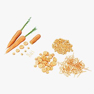 Carrot