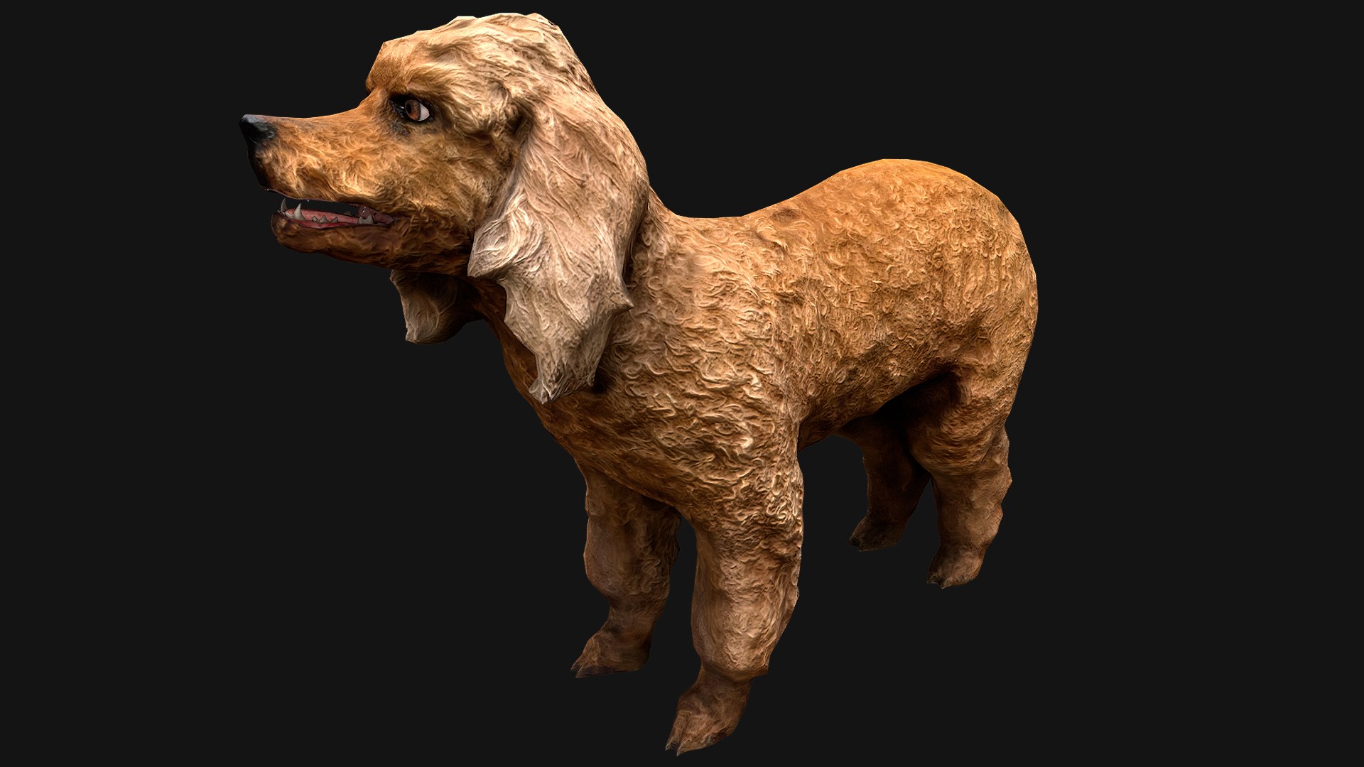 3D Model Dog Cockapoo Cocker Spaniel Mix Poodle - TurboSquid 2066970