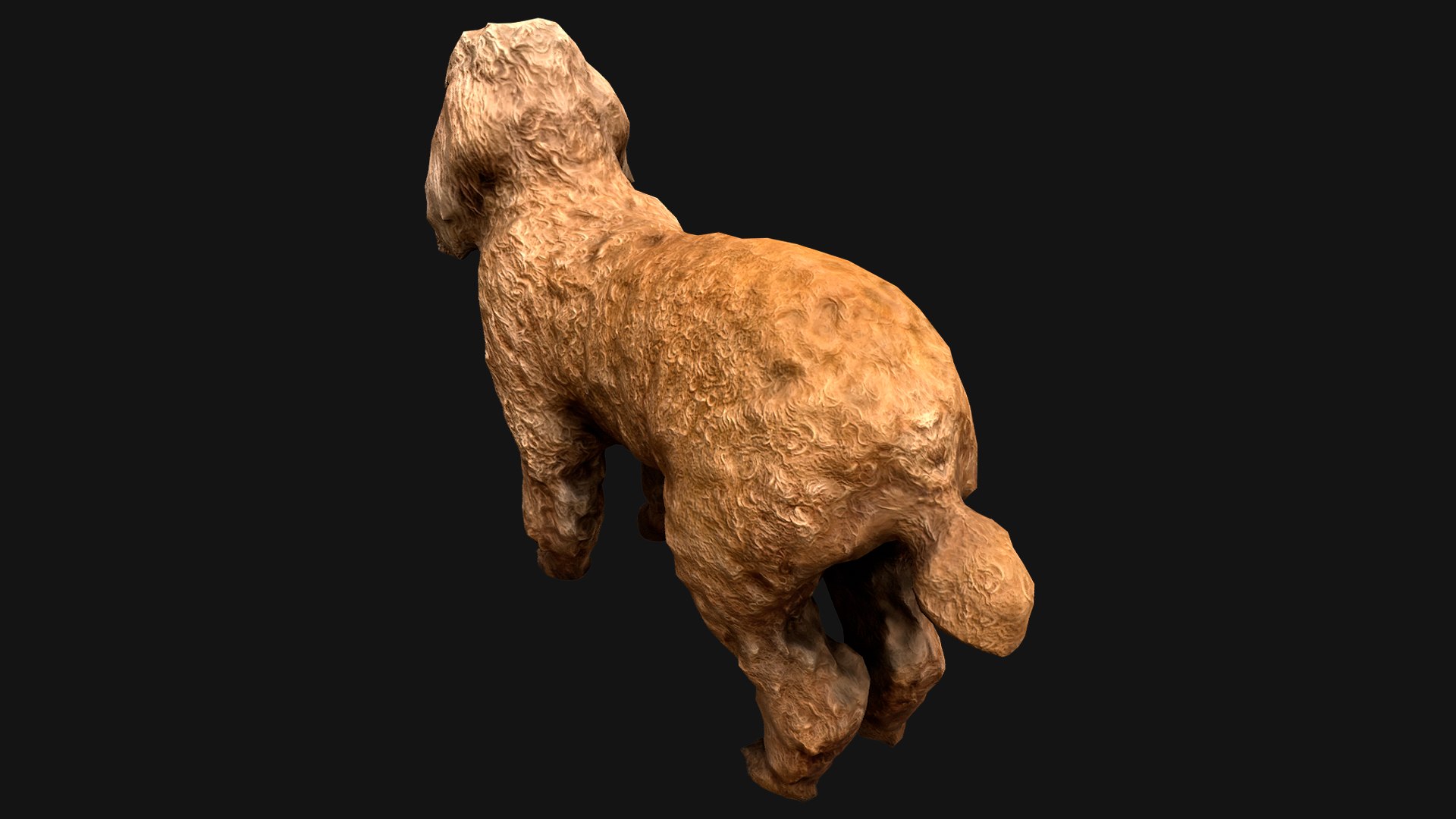 3D Model Dog Cockapoo Cocker Spaniel Mix Poodle - TurboSquid 2066970