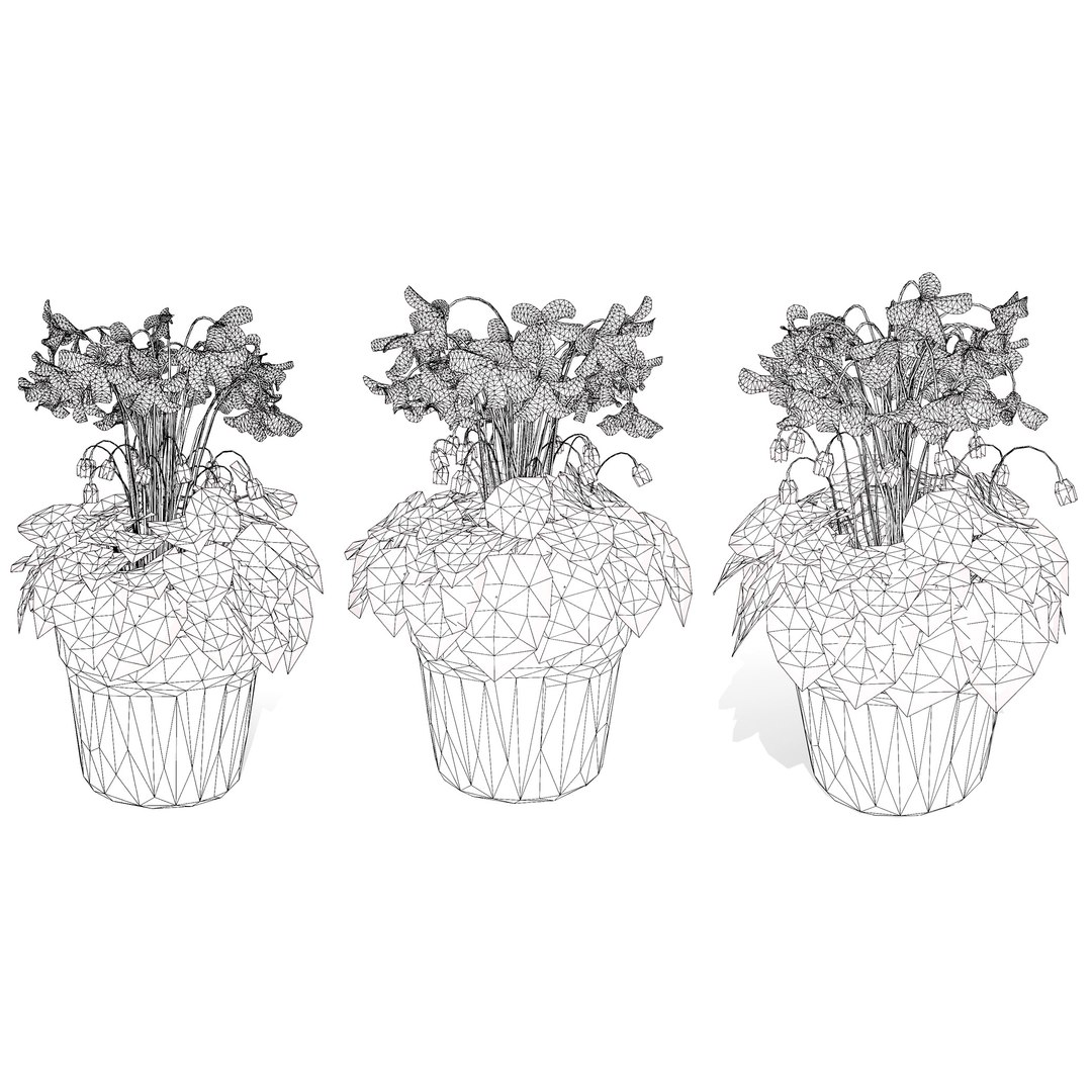 Highly Detailed Cyclamen Flowers model https://p.turbosquid.com/ts-thumb/NP/JYcsug/5C/wire/jpg/1729699326/1920x1080/fit_q87/8dc63be5cf35e3c36437aa23ab48b8026e00b4ed/wire.jpg