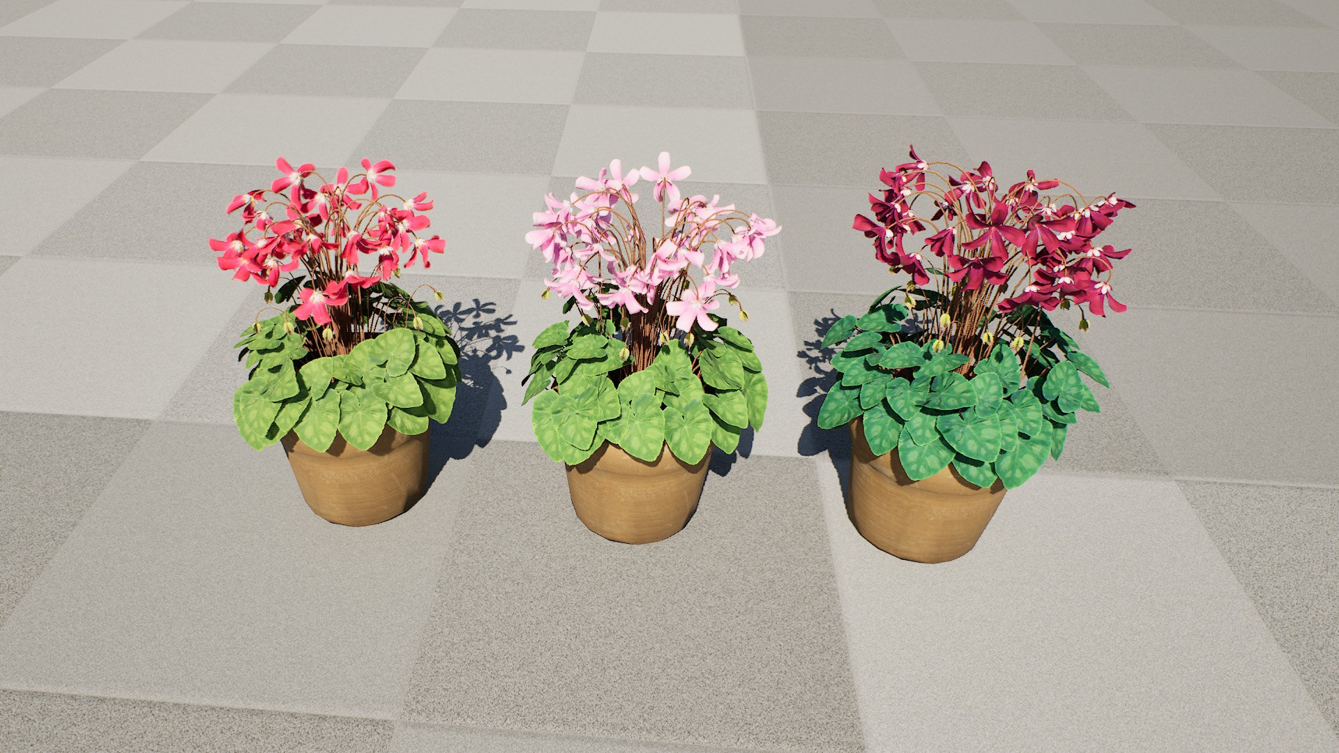Highly Detailed Cyclamen Flowers model https://p.turbosquid.com/ts-thumb/NP/JYcsug/CK/highresscreenshot00000/jpg/1729699313/1920x1080/fit_q87/0990511a4dd2e7593bc667c307b3f8d95bb8951a/highresscreenshot00000.jpg