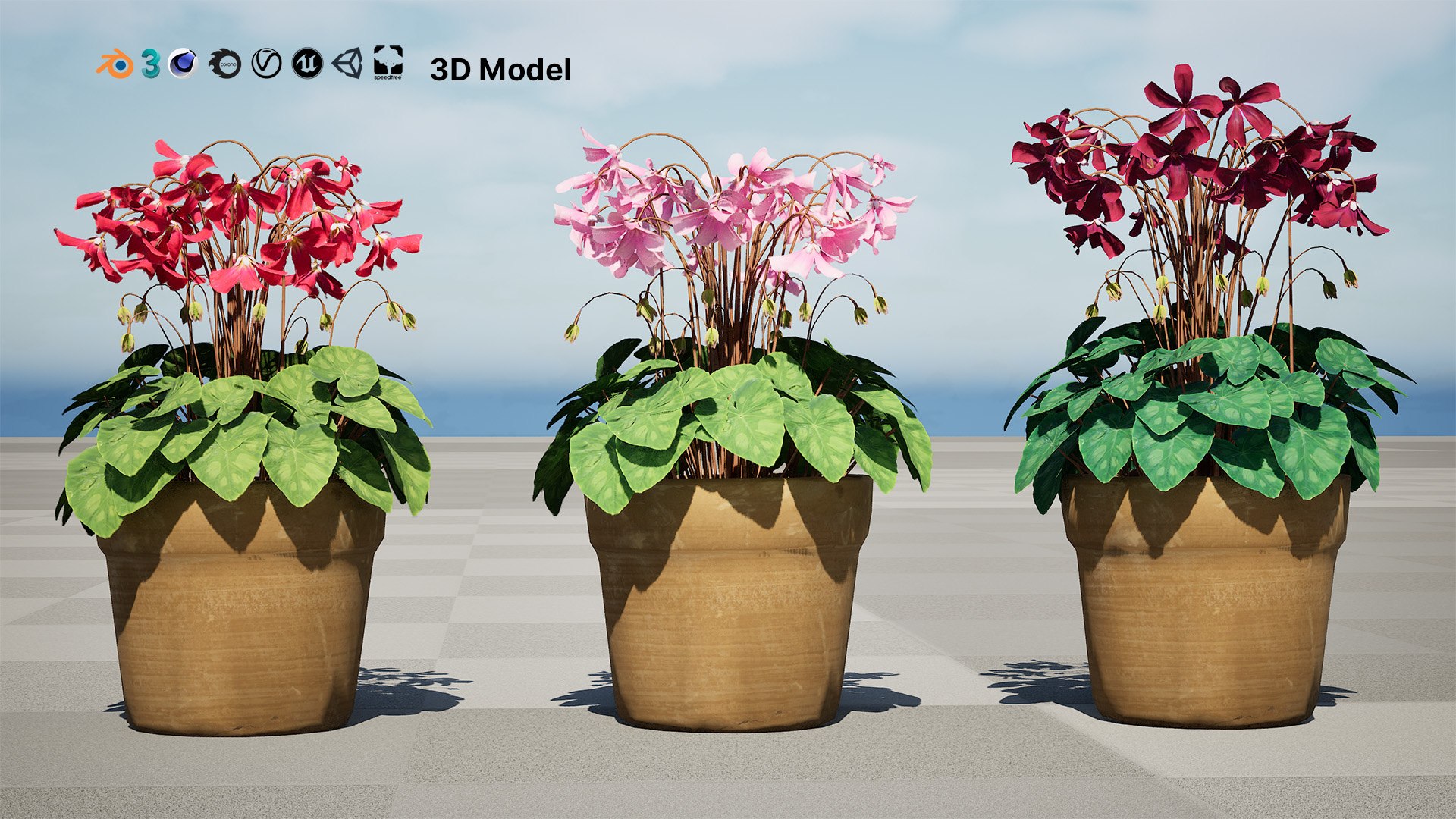 Highly Detailed Cyclamen Flowers model https://p.turbosquid.com/ts-thumb/NP/JYcsug/wD/rartcover02/jpg/1729699325/1920x1080/fit_q87/c15b39787a154648f68a92ad86de8283bc8cfc23/rartcover02.jpg
