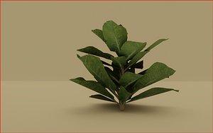 young glove 3D