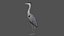 Heron Bird 3D