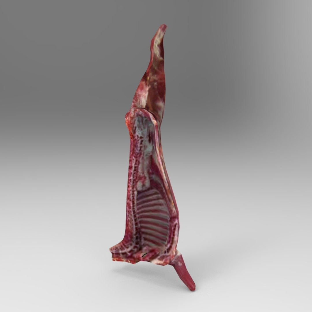 3d Meat Model