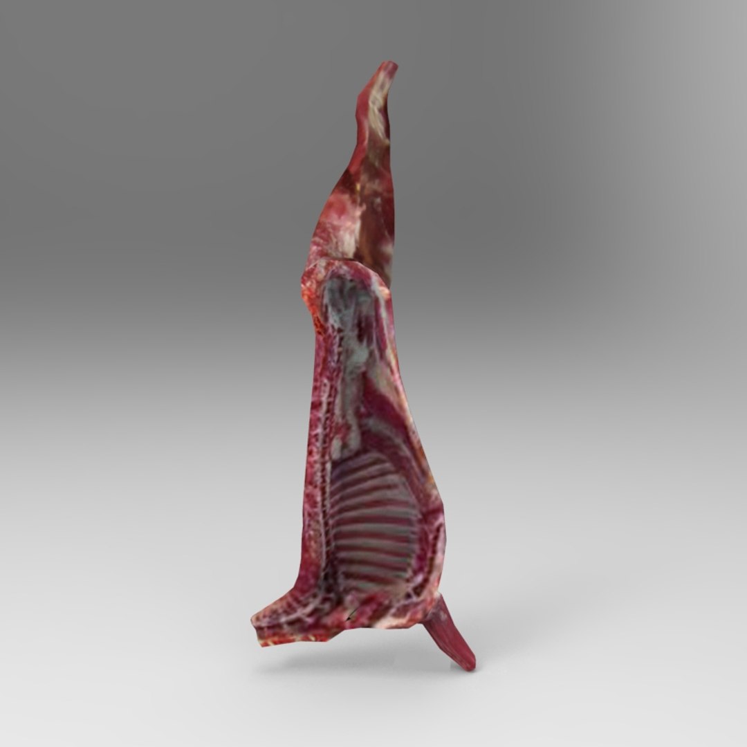 3d Meat Model