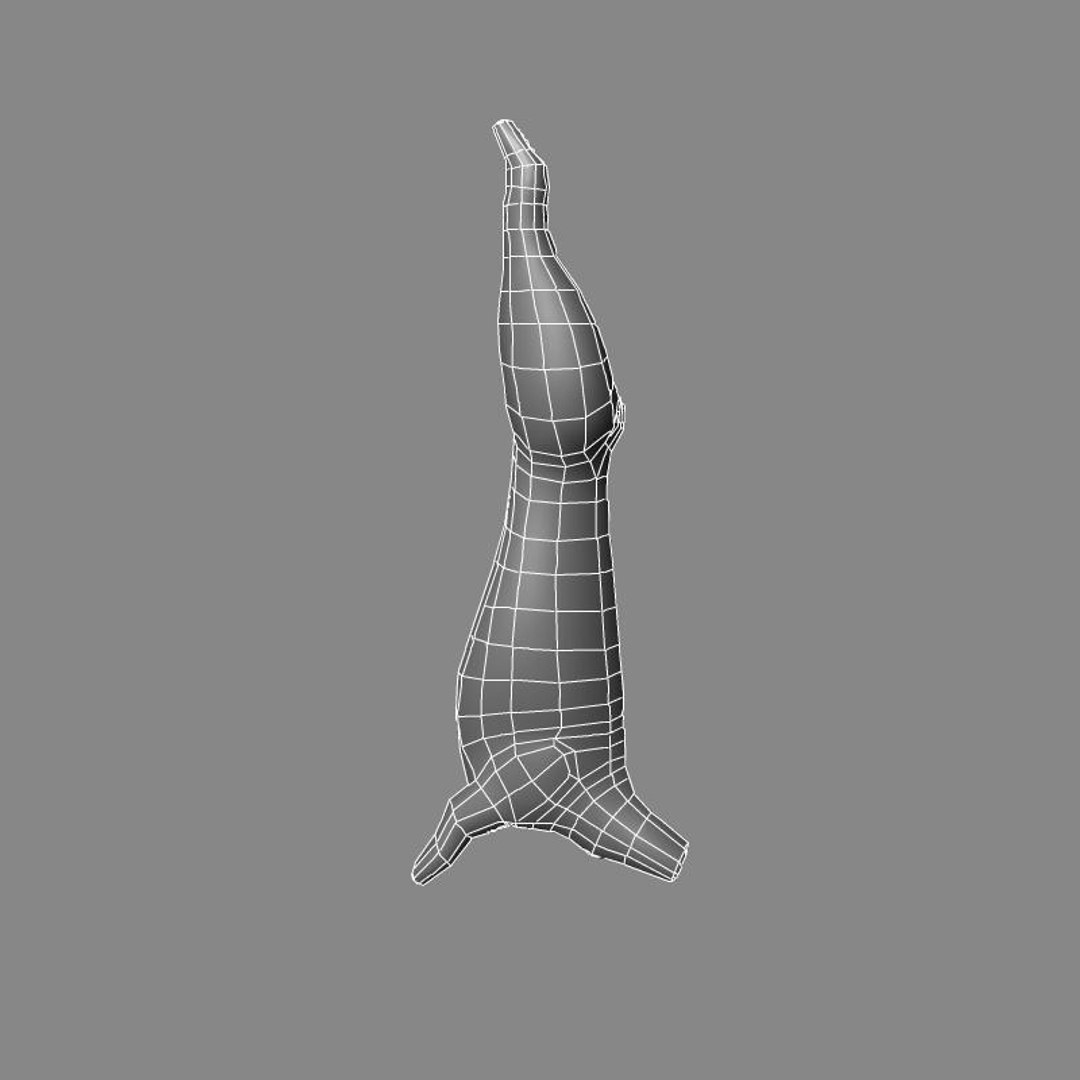 3d Meat Model