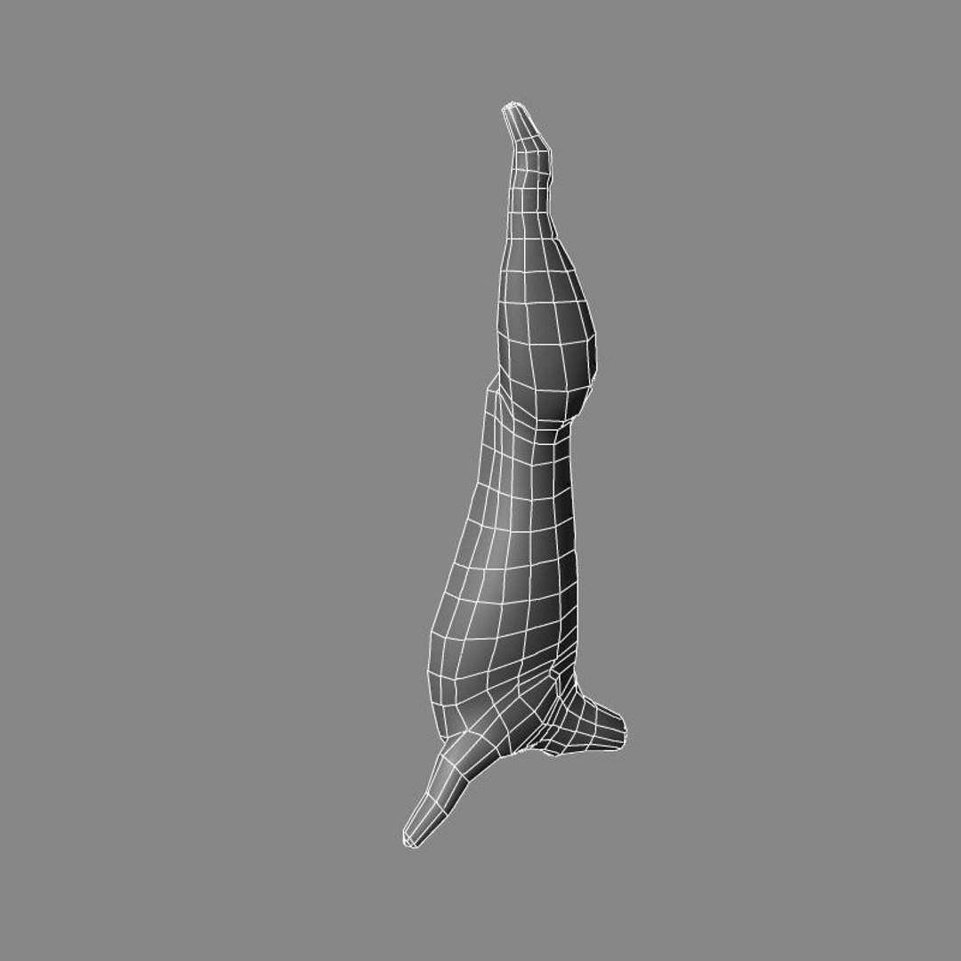 3d Meat Model