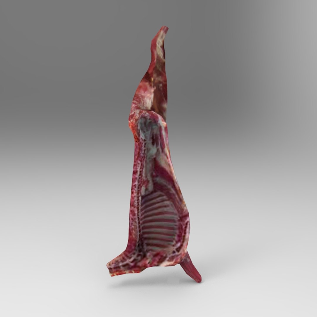 3d Meat Model
