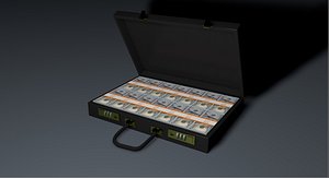 briefcase money 3D