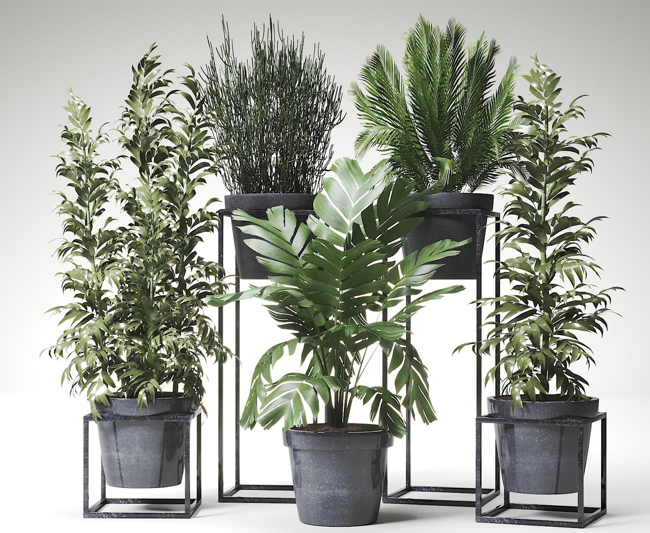 Modern Green Plant Potting Model 3D model - TurboSquid 2062281