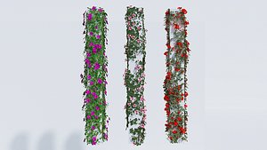 Column plant ivy