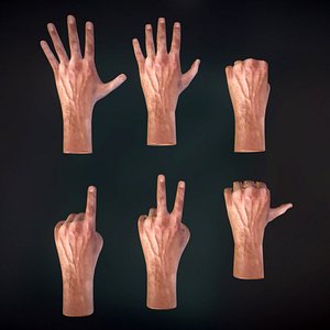hand male anatomy 3D model