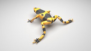 Yellow and Black Poison Dart Frog 3D model