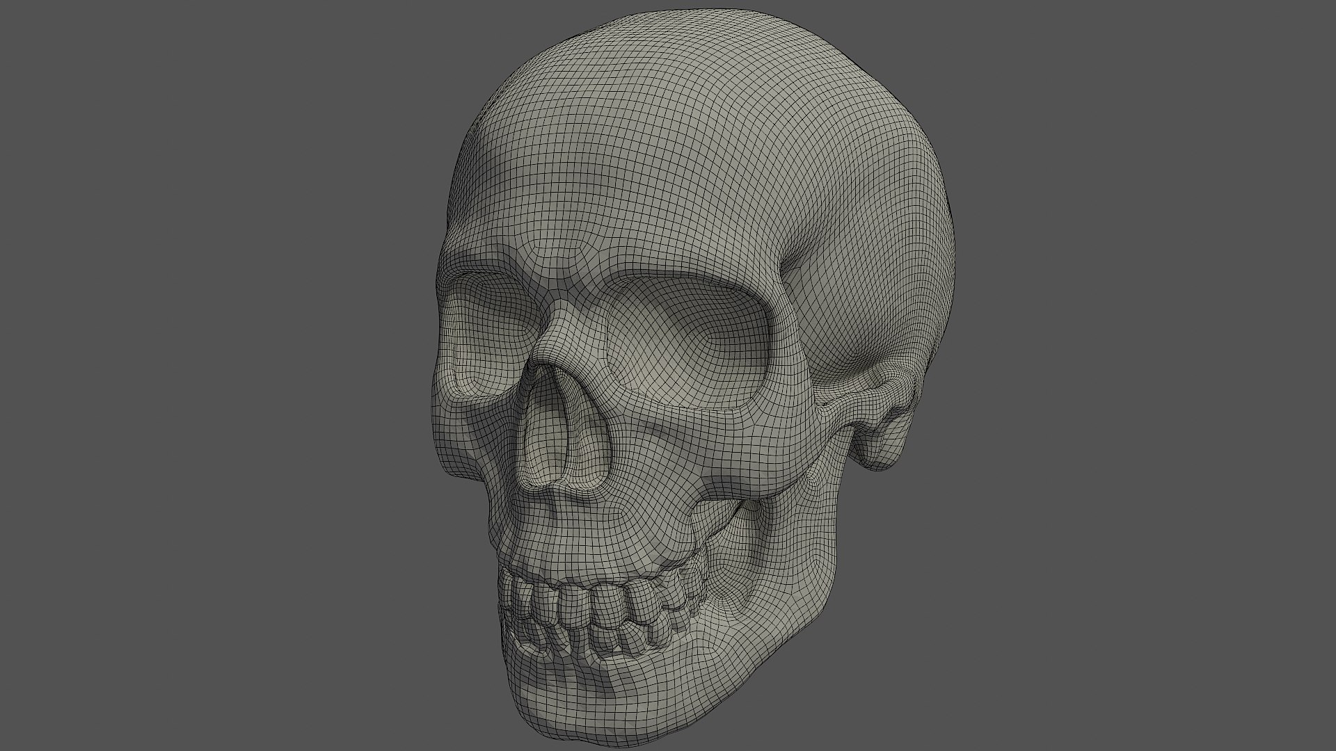 skull 3D https://p.turbosquid.com/ts-thumb/NQ/IewVDc/JpyxGXUV/poly1/png/1571698378/1920x1080/fit_q87/19e4d9fb0944e9990ee47220f62ebd7f011aaecb/poly1.jpg