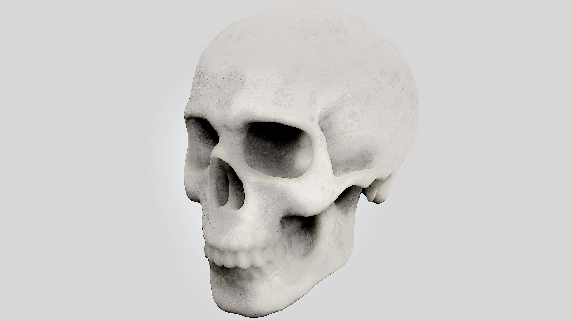 skull 3D https://p.turbosquid.com/ts-thumb/NQ/IewVDc/bQxOAmPB/1/png/1571698378/1920x1080/fit_q87/b6f122db0bc22621c486c229cb360b7cd5f5efd6/1.jpg