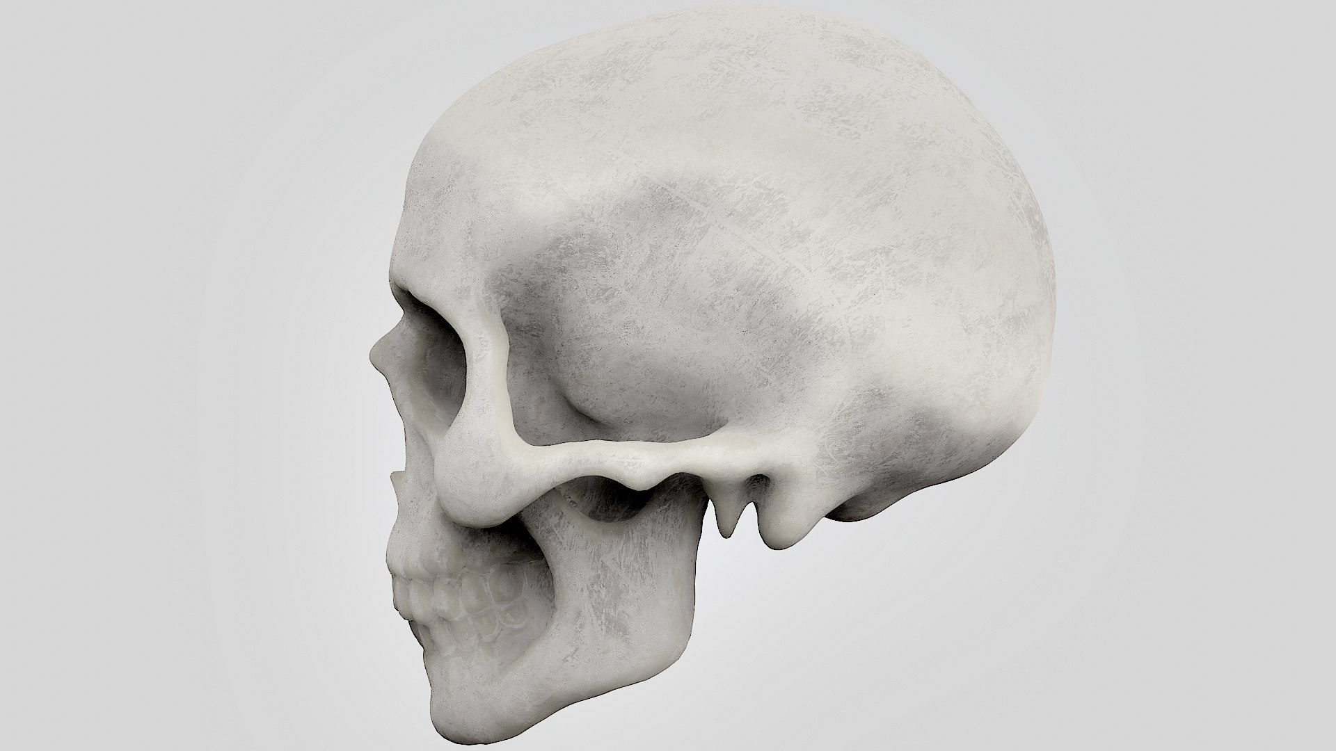 skull 3D https://p.turbosquid.com/ts-thumb/NQ/IewVDc/h60jH1nX/3/png/1571698378/1920x1080/fit_q87/5939bb408162e918b20d054f36c7f8bc371402bc/3.jpg