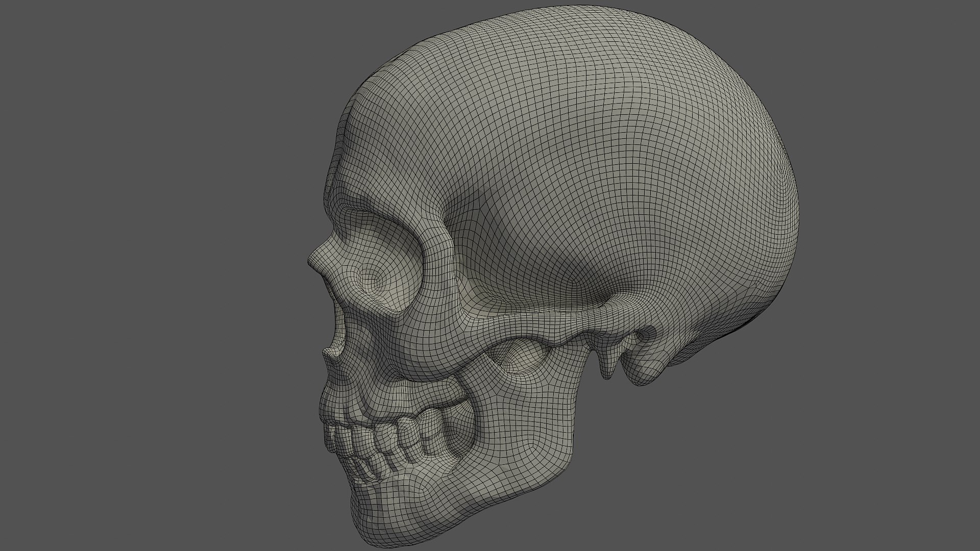 Skull 3D - TurboSquid 1452999