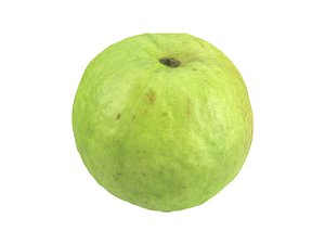 photorealistic scanned guava model