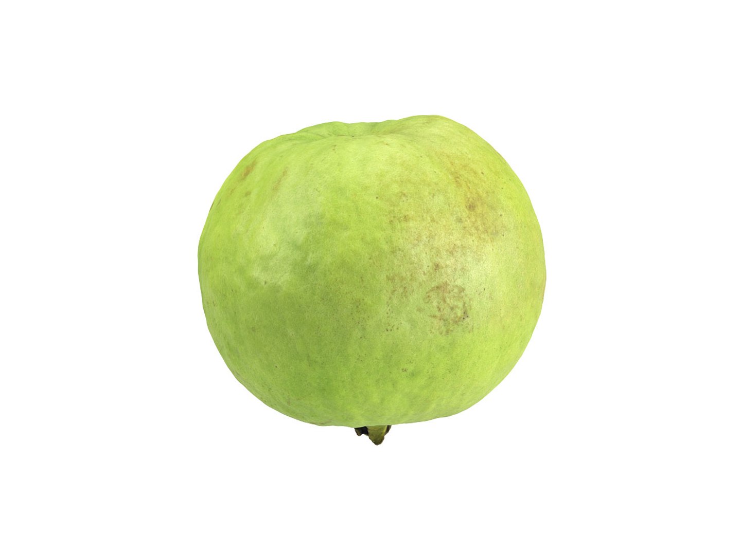 Photorealistic Scanned Guava Model - TurboSquid 1345329