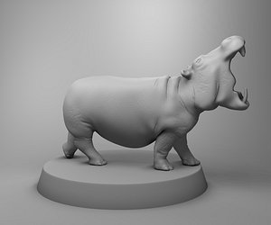 africa hippo hippopotamus 3D model