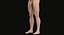 3D male complete anatomy man