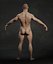 Male Human Anatomy