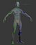 Male Human Anatomy