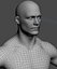 Male Human Anatomy