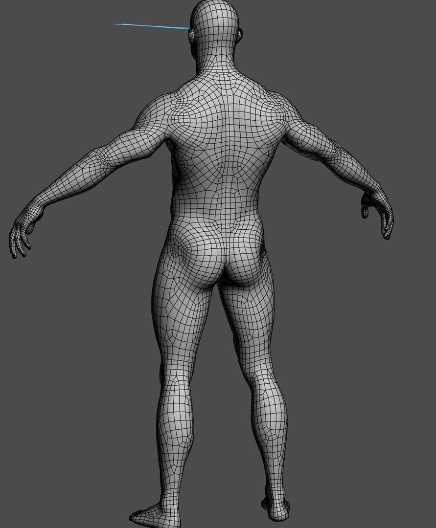 rigging face animations 3D https://p.turbosquid.com/ts-thumb/NQ/fQ2jd1/e8rJeTE4/wire_3/jpg/1588683112/1920x1080/fit_q87/aca3b092c9e3ea8e1ec44c2d6a65299e799c601f/wire_3.jpg