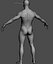 Male Human Anatomy