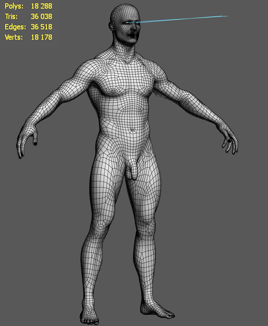 rigging face animations 3D https://p.turbosquid.com/ts-thumb/NQ/fQ2jd1/gt/wire/jpg/1651336264/1920x1080/fit_q87/418aa5f585bf3e01b3344872a3b5f9b8d79944b3/wire.jpg