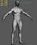 Male Human Anatomy