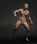 Male Human Anatomy