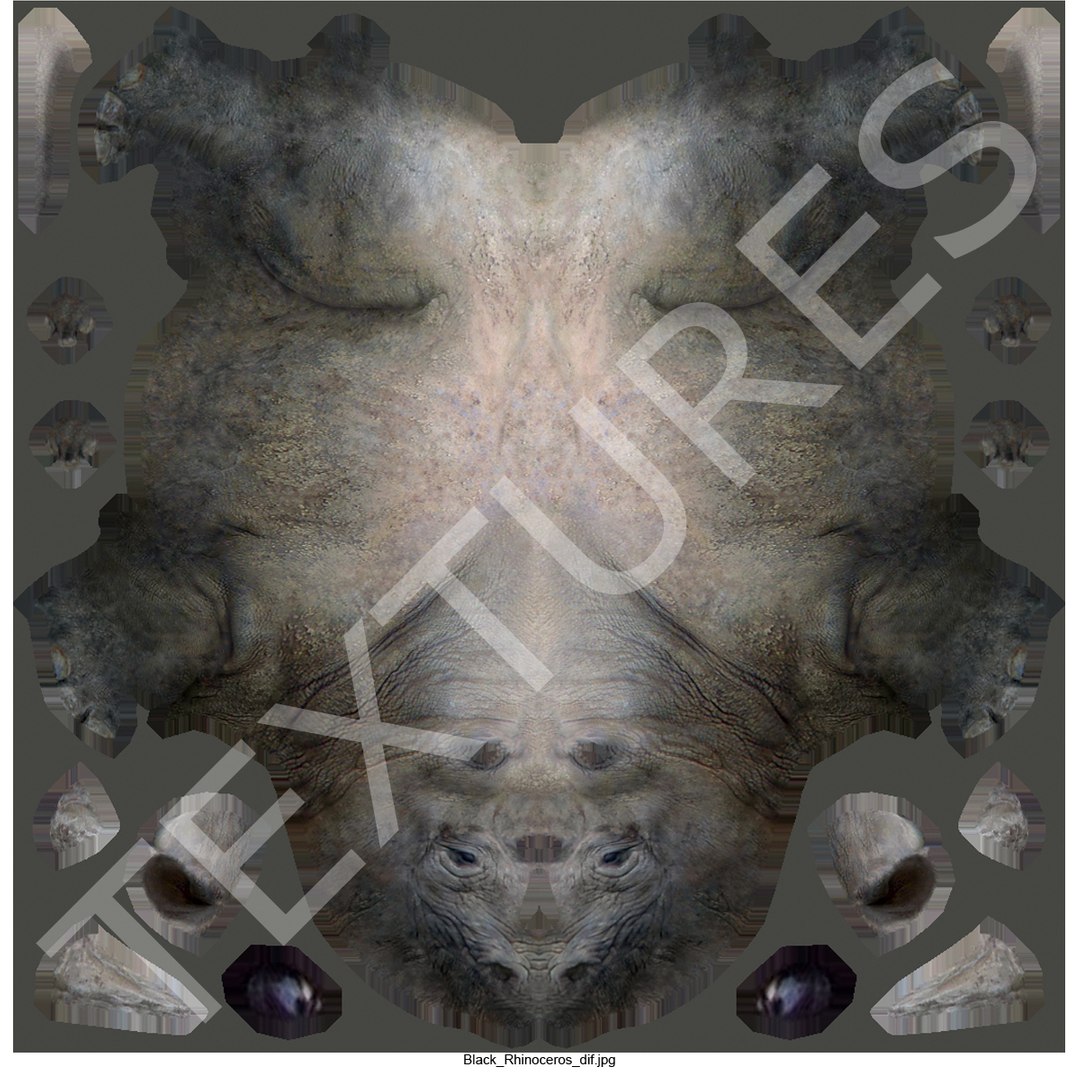 Obj Black Rhinoceros