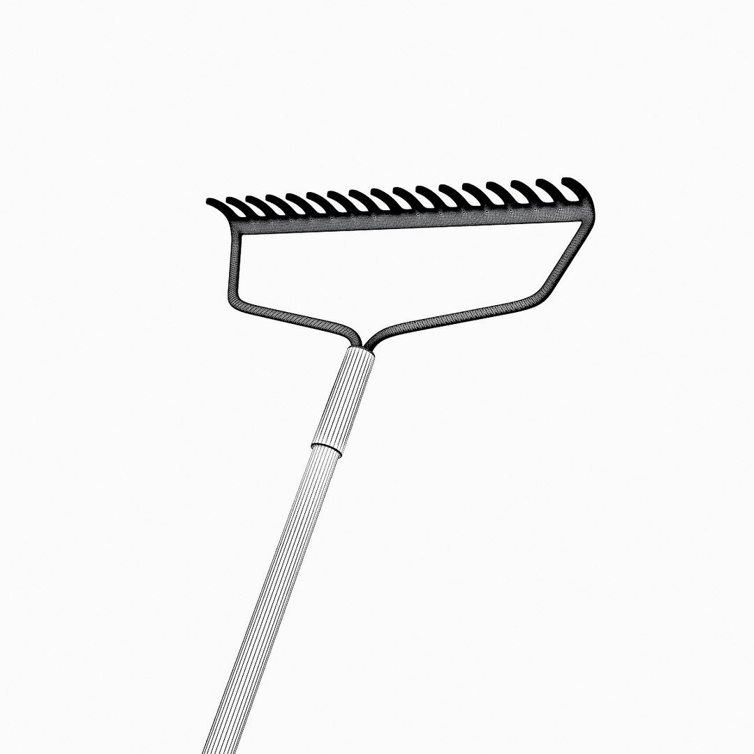 3d Rake