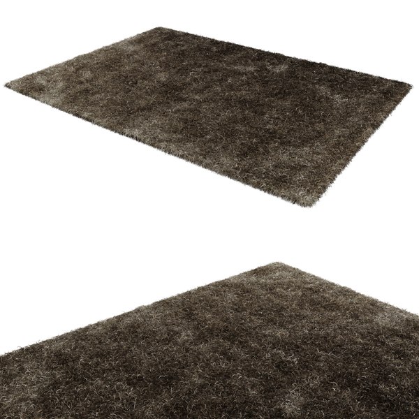 max spider rug modeled